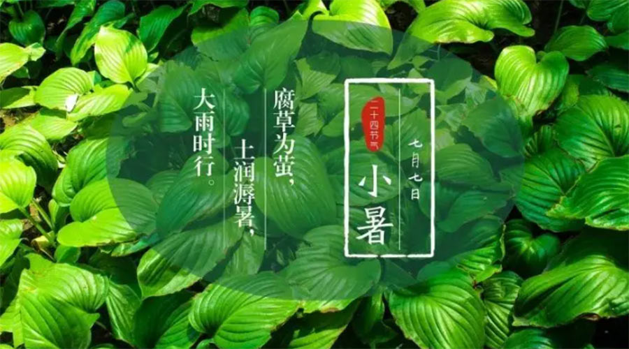 小暑時節(jié)來到！金環(huán)電器提醒大家要注意的事項